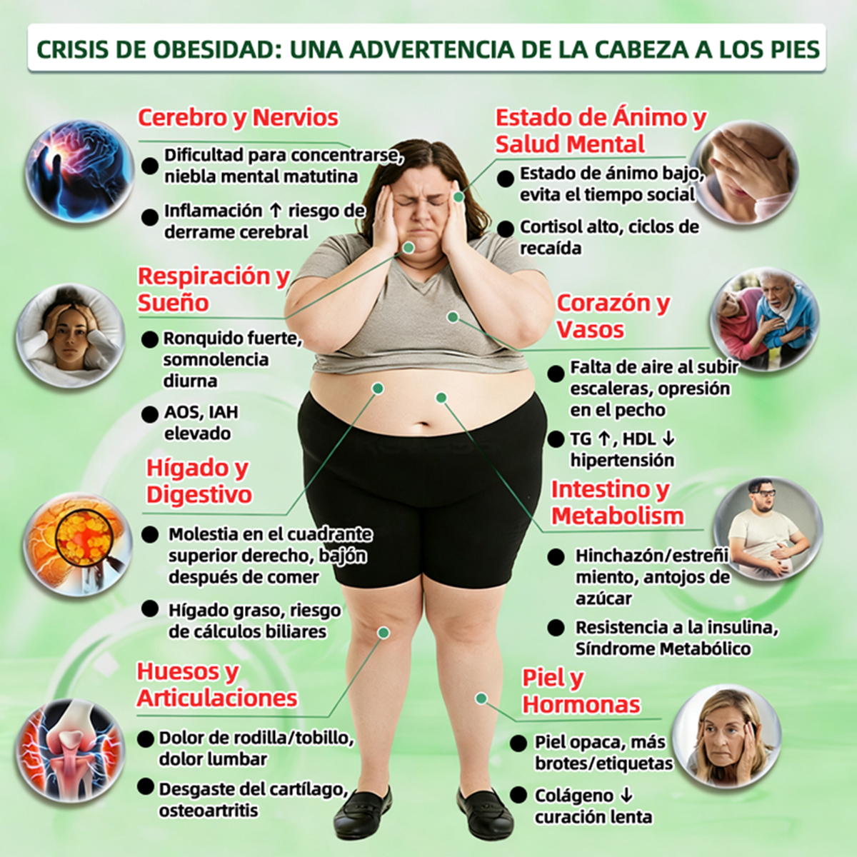 Tienda Oficial de EE. UU. 🇺🇸  | 🧑‍⚕️🩺 Curalona® Moringa · Berberina × NAD+ Parche nanomicron avanzado 10 en 1: resultados visibles en 2 días