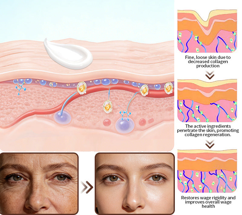 Purelora® Stem Cell Extract EGF and Copper Peptide Revitalizing Essence Cream (deeply activates the skin's internal regeneration, making the skin firmer and smoother)