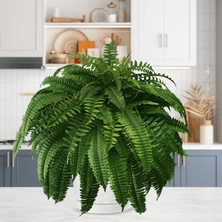 Last Day 75% OFF | UV Resistant Lifelike Artificial Boston Fern