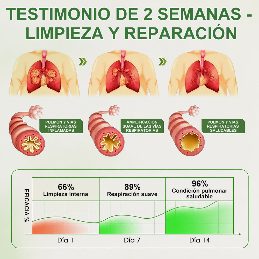 Curalona® Difusor de gordolobo Botanical LungCare (🫁 Tos, faringitis, dificultad para respirar, expectoración, congestión nasal, bronquitis, síntomas de alergia, molestias pulmonares)