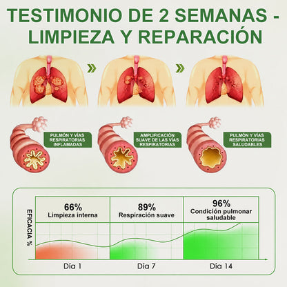 Curalona® Difusor de gordolobo Botanical LungCare (🫁 Tos, faringitis, dificultad para respirar, expectoración, congestión nasal, bronquitis, síntomas de alergia, molestias pulmonares)