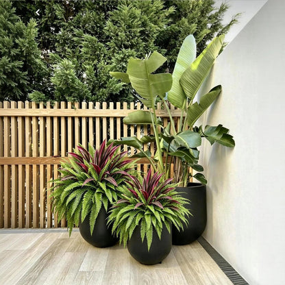🔥Last Day Sale Price |UV Resistant Artificial Fern & Red Dracaena Decorative Plants – Full, Lush & Fade-Resistant!